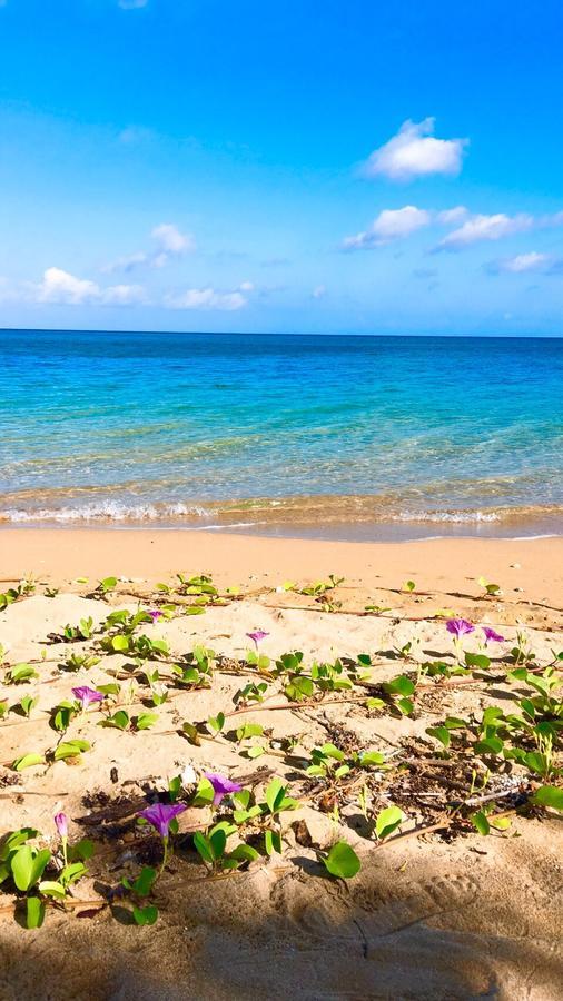 Beach Side House Alohana Ishigaki  Ngoại thất bức ảnh